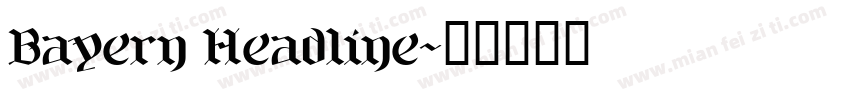 Bayern Headline字体转换